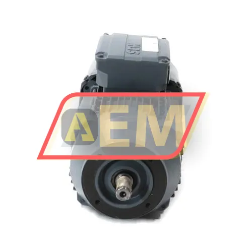 DRN90SR6/BE1/FT SEW-EURODRIVE resim 2