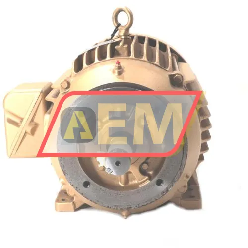 CEM2334T Baldor resim 2