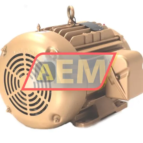 CEM2334T Baldor resim 3