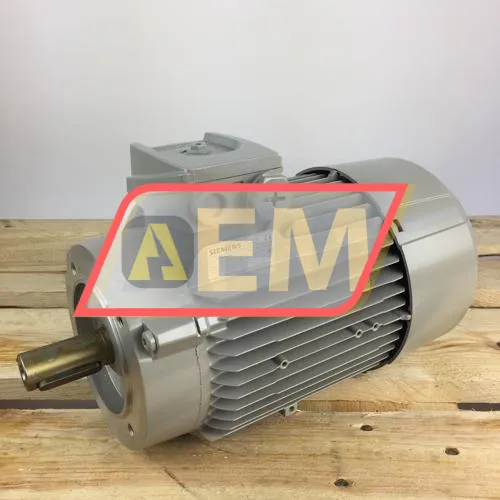 1LE1003-0EA02-2KA4 Siemens