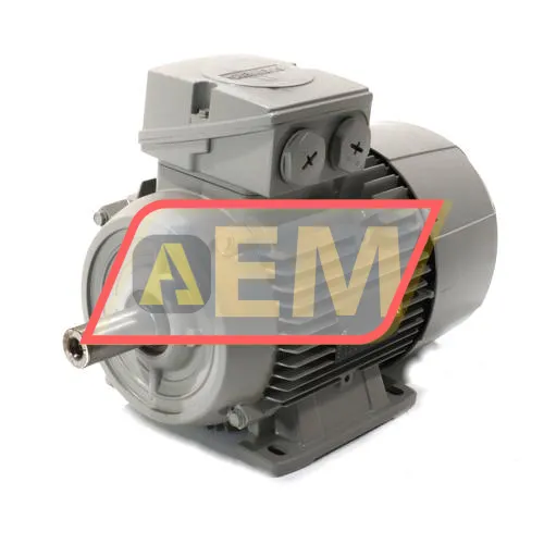 1LE1001-1AC42-2AA4 Siemens