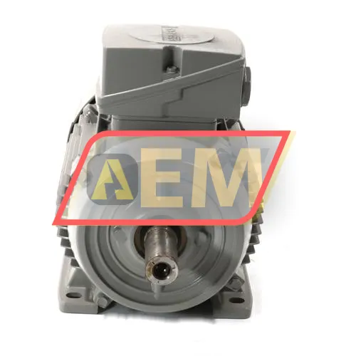 1LE1001-1AC42-2AA4 Siemens resim 2