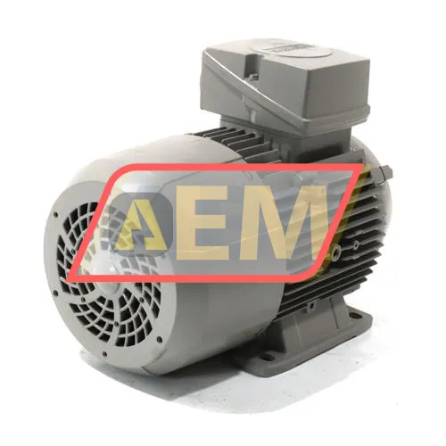 1LE1001-1AC42-2AA4 Siemens resim 3