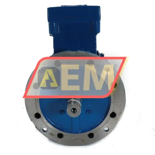 5.5K32CI1132S2B5EX2G WEG resim 2