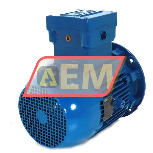 5.5K32CI1132S2B5EX2G WEG resim 3