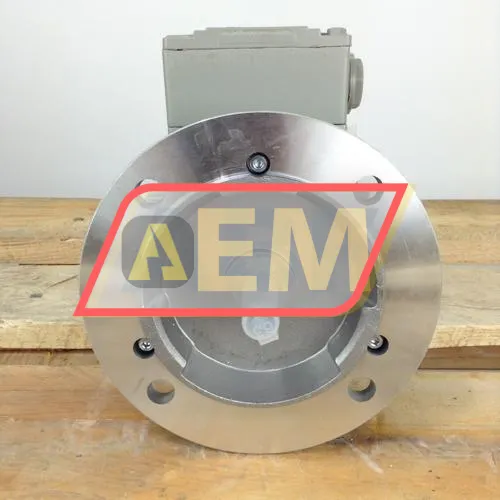 1LE1002-0BA22-2FA4 Siemens resim 3