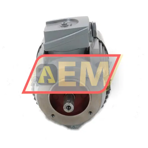 1TZ9001-0DA33-4KA4-Z Lönne resim 3