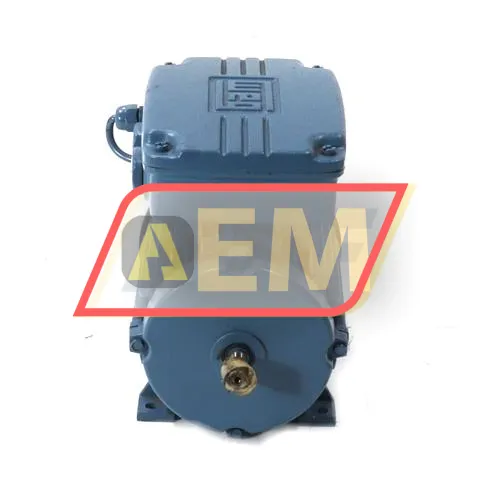 0.18K31AL0634B3 WEG resim 2