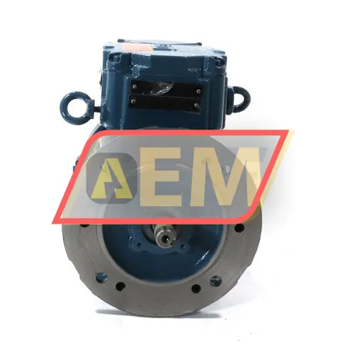 0.25K31CI2808B352G WEG resim 2