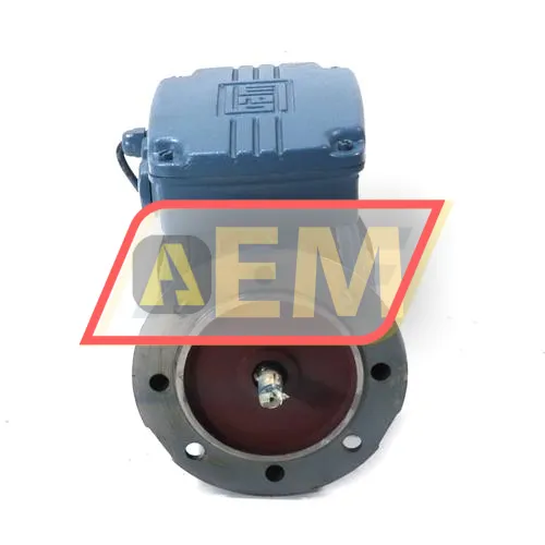 0.12K31AL0634B5 WEG resim 2