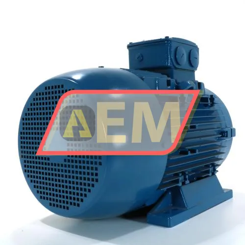 22K32AL3180M/L2B3 WEG resim 3