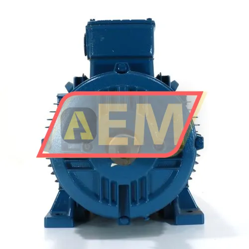 22K32AL3180M/L2B3 WEG resim 4