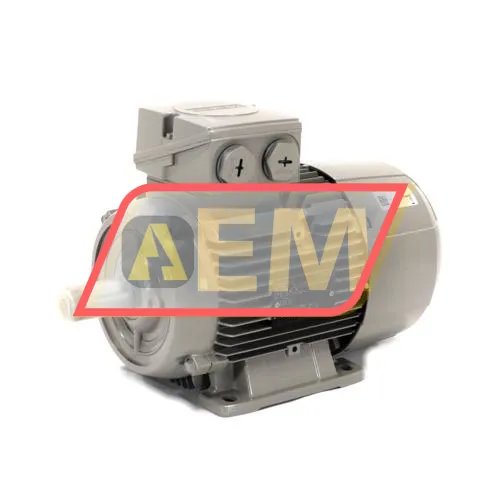 1LE1003-1AC42-2AA4 Siemens