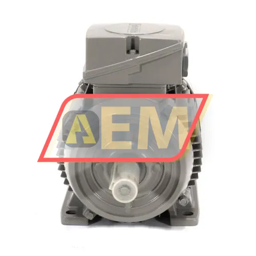 1LE1003-1AC42-2AA4 Siemens resim 2