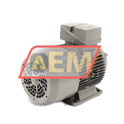 1LE1003-1AC42-2AA4 Siemens resim 3
