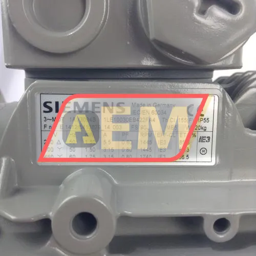 1LE1003-0EB42-2FA4 Siemens resim 2