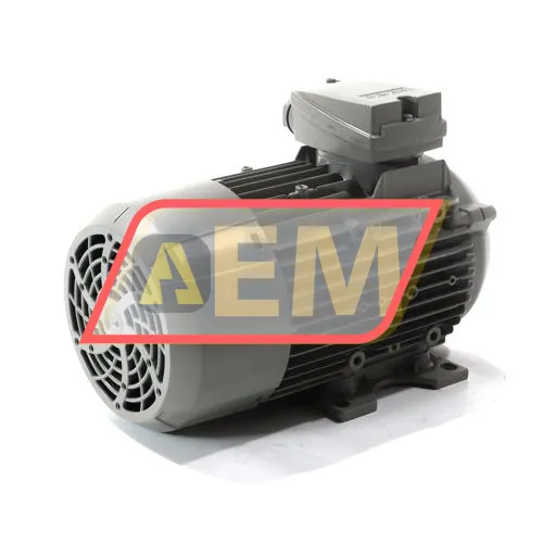 1LE1003-0DA62-2AA4 Siemens resim 3