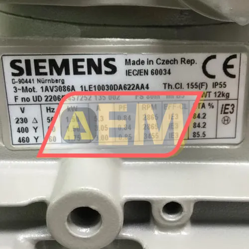 1LE1003-0DA62-2AA4 Siemens resim 4