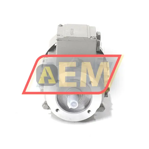 1LE1001-0CA32-2KA4 Siemens resim 2