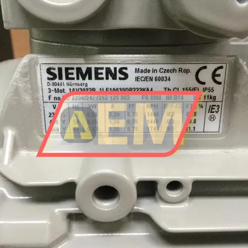 1LE1003-0DB22-2KA4 Siemens resim 4