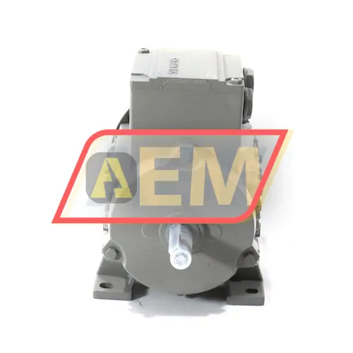 1LE1001-0BA32-2AA4 Siemens resim 2