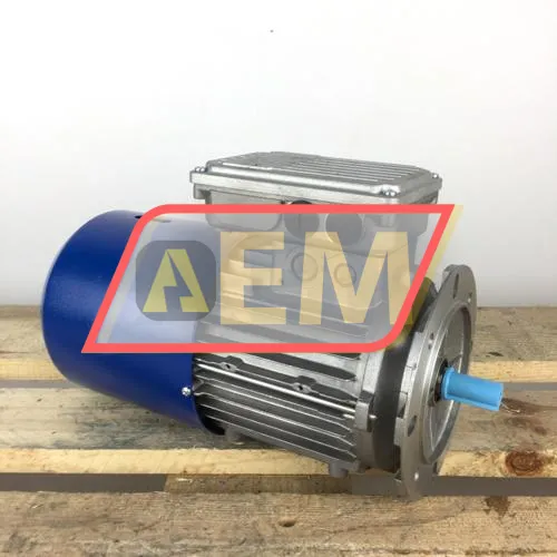 TBS80B2B5 Motovario resim 3