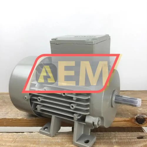 1LE1002-0BB62-2AA4 Siemens resim 3