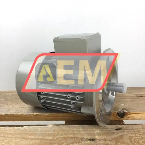 1LE1002-0CA62-2FA4 Siemens resim 3