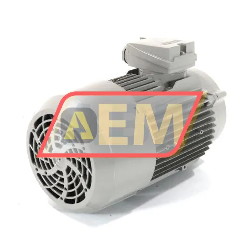 1LE1001-0EC02-2KA4 Siemens resim 2
