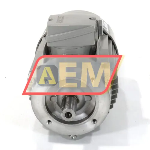 1LE1001-0EC02-2KA4 Siemens resim 3