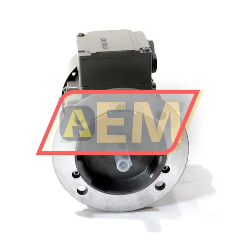 1LE1001-0BA32-2FA4 Siemens resim 2