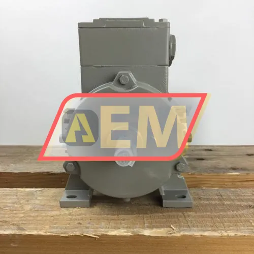 1LE1002-0BA62-2AA4 Siemens resim 4