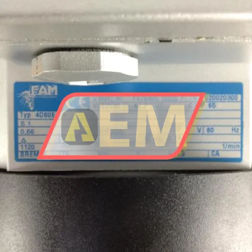 4D80E-6 FAM Motoren resim 2