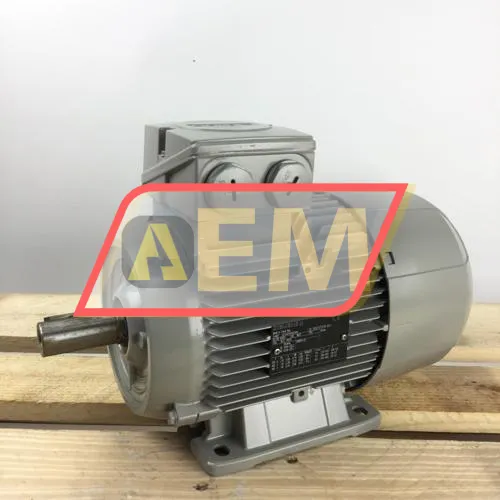 1LE1002-1AD42-2AA4 Siemens