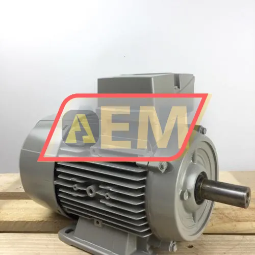 1LE1002-1AD42-2AA4 Siemens resim 3