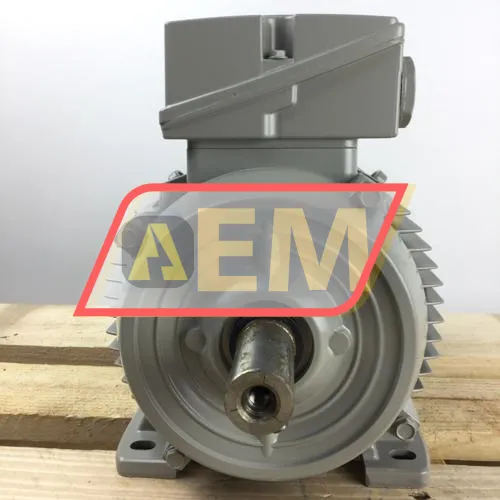 1LE1002-1AD42-2AA4 Siemens resim 4