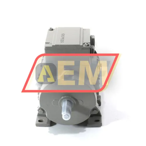 1LE1001-0BB32-2AA4 Siemens resim 2