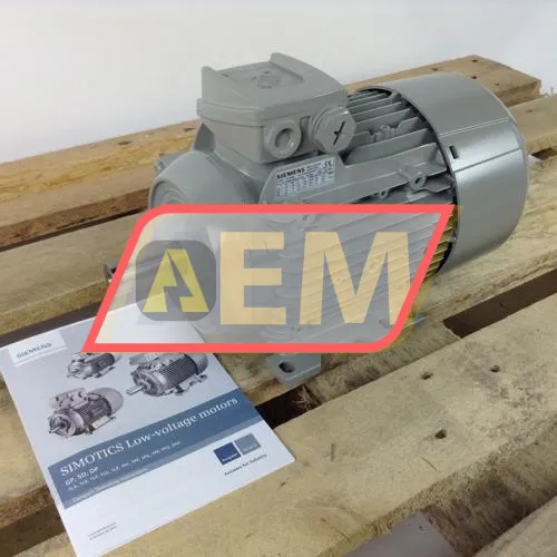 1LE1003-0EA02-2AA4 Siemens
