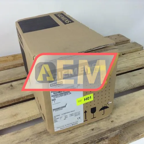 1LE1003-0EA02-2AA4 Siemens resim 3