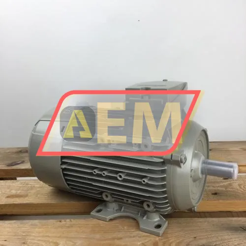 1LE1001-0DB62-2AA4 Siemens resim 3
