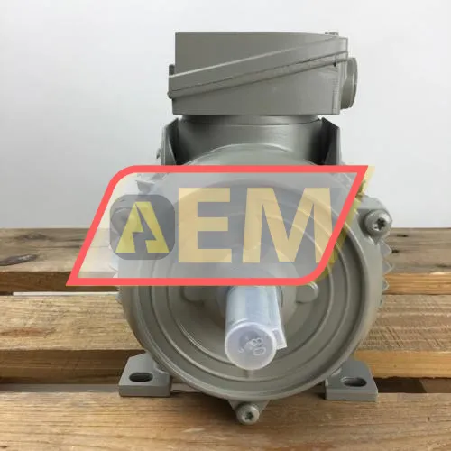 1LE1001-0DB62-2AA4 Siemens resim 4