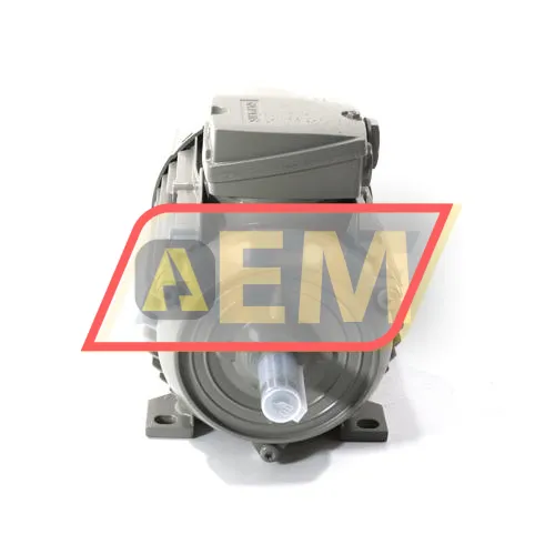 1LE1003-0DB32-2AA4 Siemens resim 2