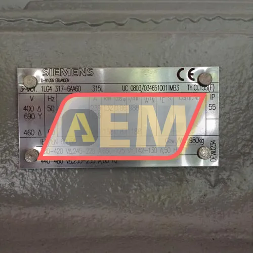 1LG4317-6AA60 Siemens resim 2
