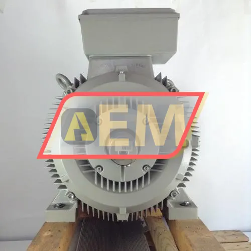 1LG4317-6AA60 Siemens resim 3