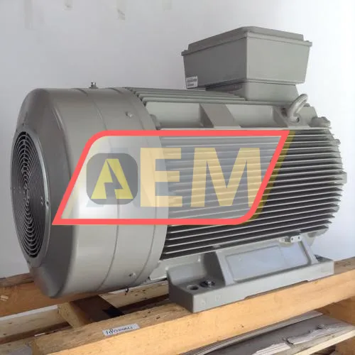 1LG4317-6AA60 Siemens resim 4