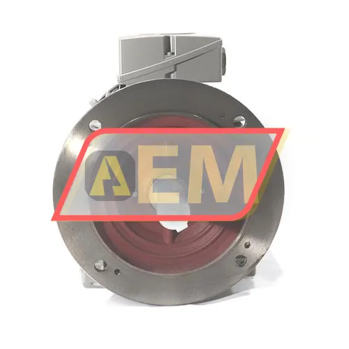 1LE1003-1DA43-4WB4 Siemens resim 2