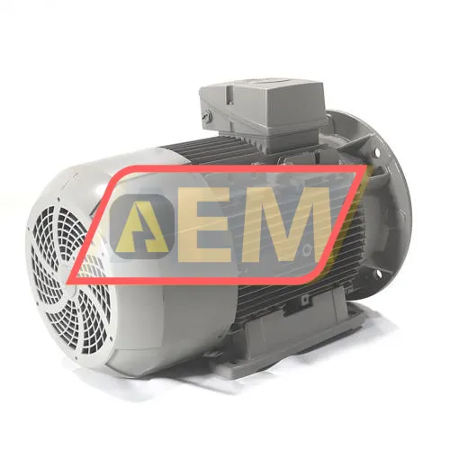 1LE1003-1DA43-4WB4 Siemens resim 3