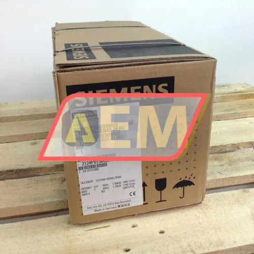 1LE1003-0EB42-2KA4 Siemens resim 4