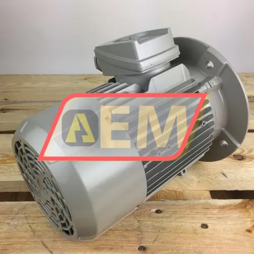 1LE1001-0DB22-2FA4 Siemens resim 2
