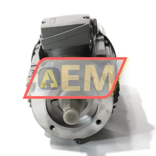 1LE1003-0EB02-2KA4 Siemens resim 2